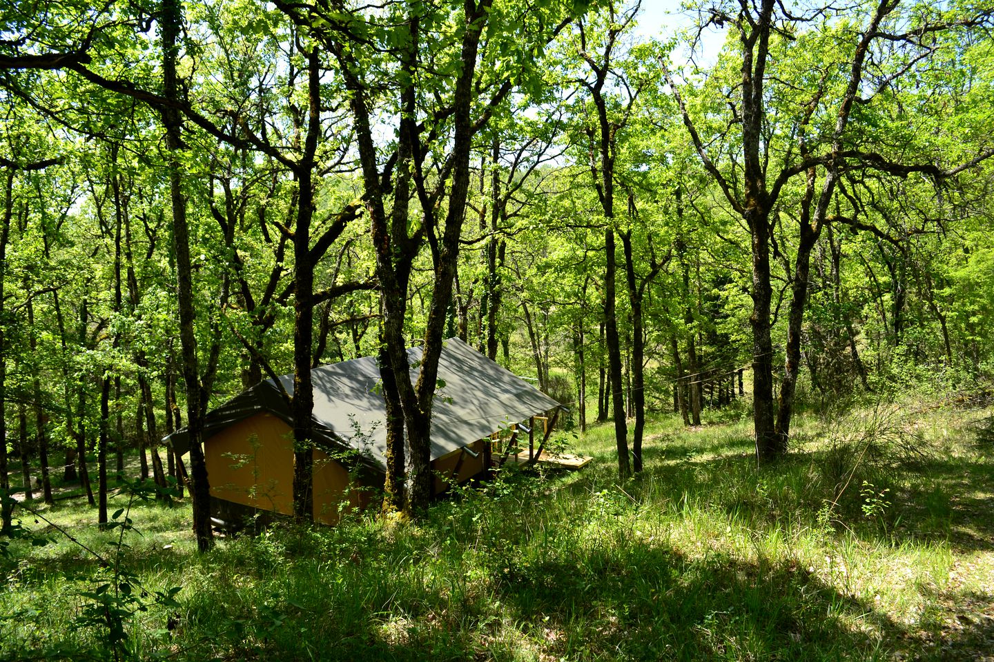 Woodland Safari Tents for Luxury Camping Outside of Toulouse, France