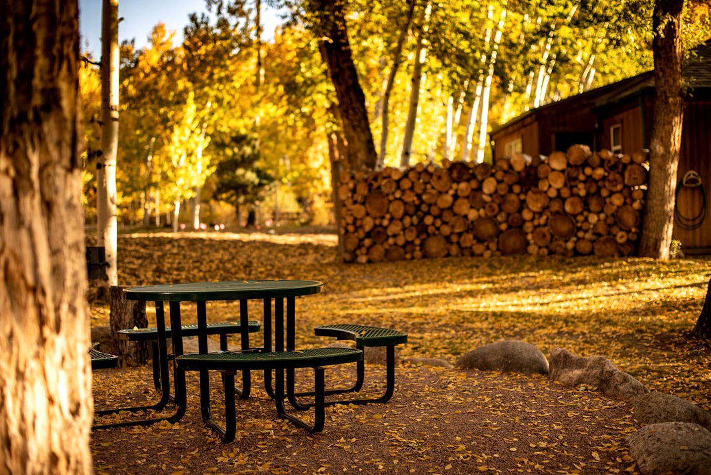 Rustic Camping Cabin near the Royal Gorge in Salida, Colorado