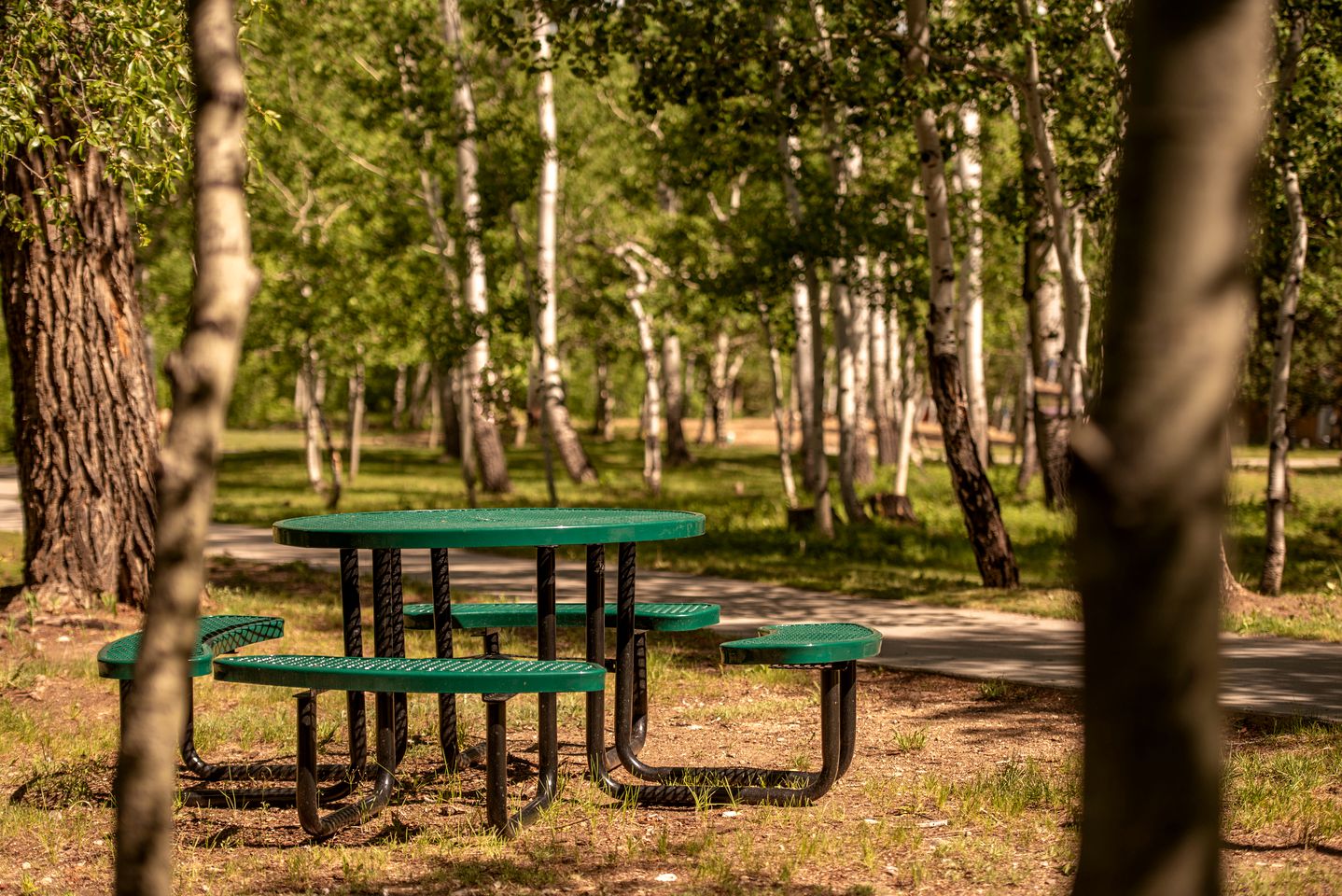Beautiful Secluded Cabin with a Hot Tub near Monarch Mountain in Colorado