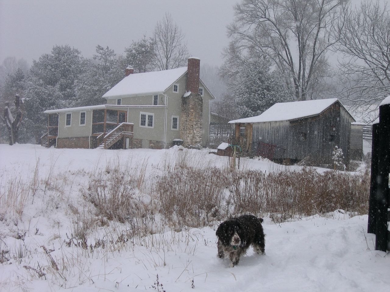 Lovely Cottage on Farm near Shenandoah National Park, Virginia