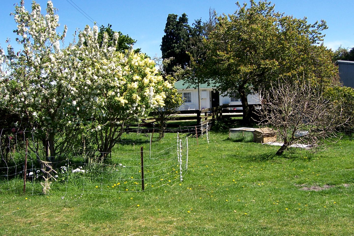 Charming Family-Friendly Cottage on an Organic Farm near Kaikoura, New Zealand