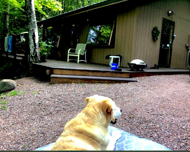 Cabins (United States of America, Bayfield, Wisconsin)