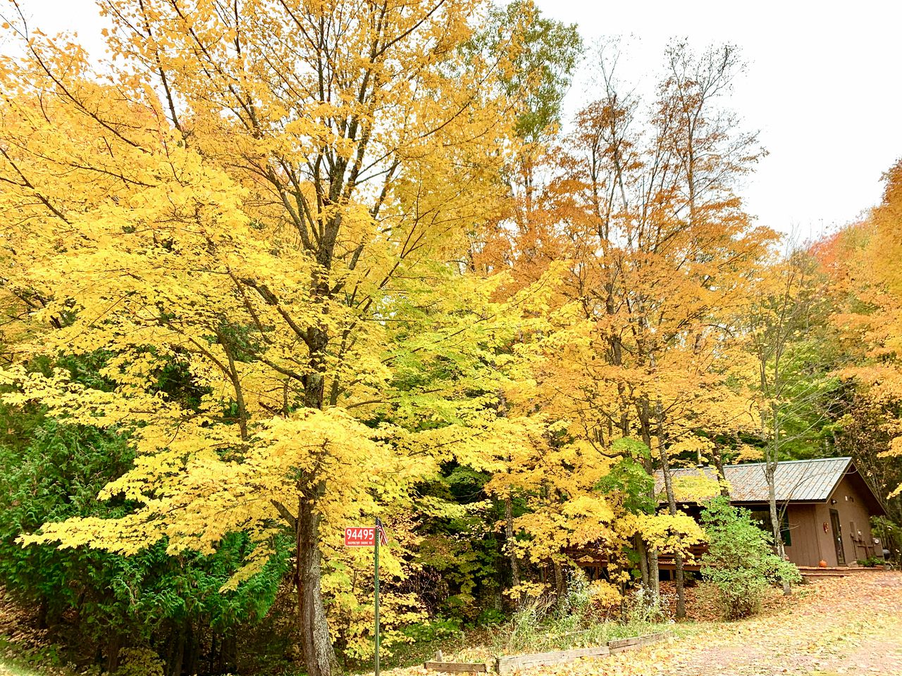 Secluded Waterfront Cabin Rental on Lake Superior near Red Cliff, Wisconsin