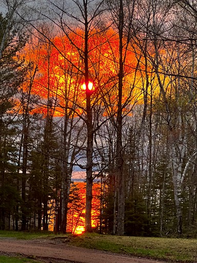 Cabins (United States of America, Bayfield, Wisconsin)