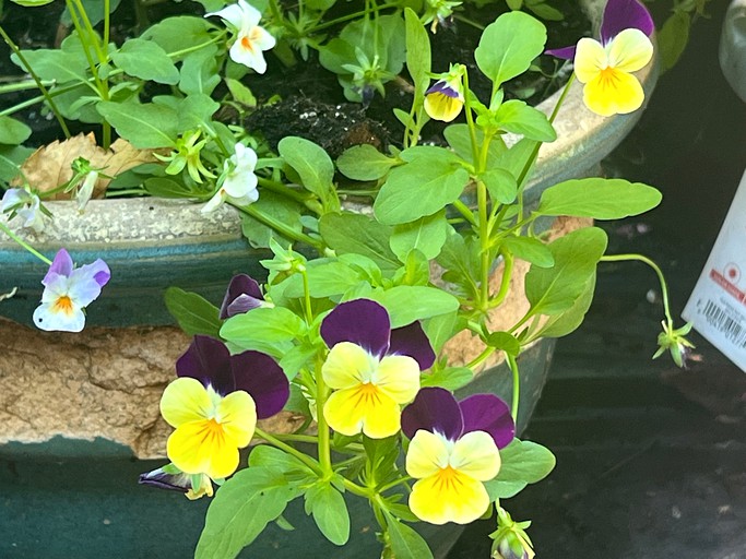 Cabins (United States of America, Bayfield, Wisconsin)