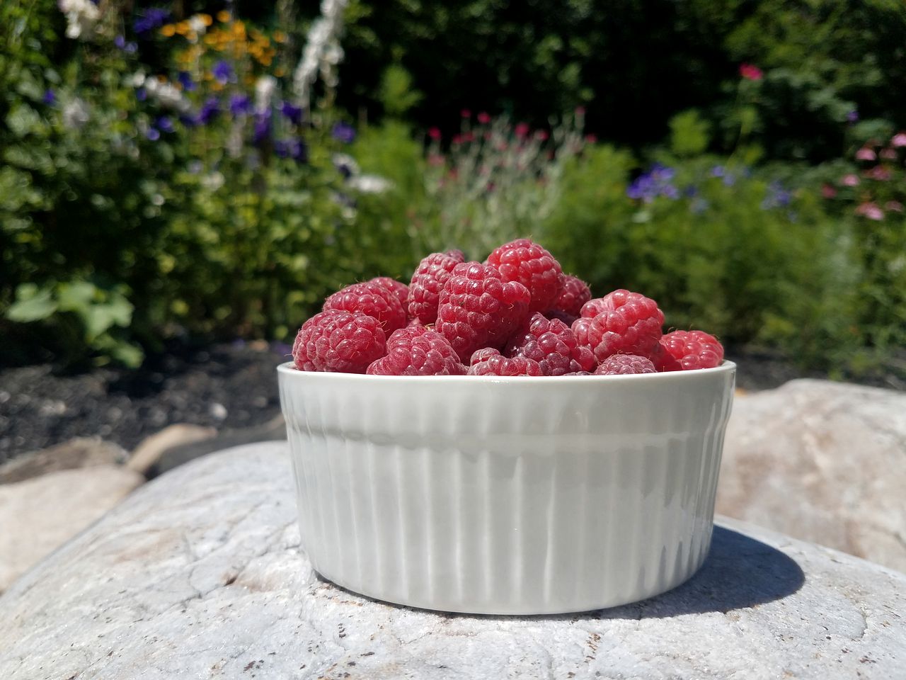 Picturesque, Mountain Suite nestled in Pastoral Setting in Wells, Vermont