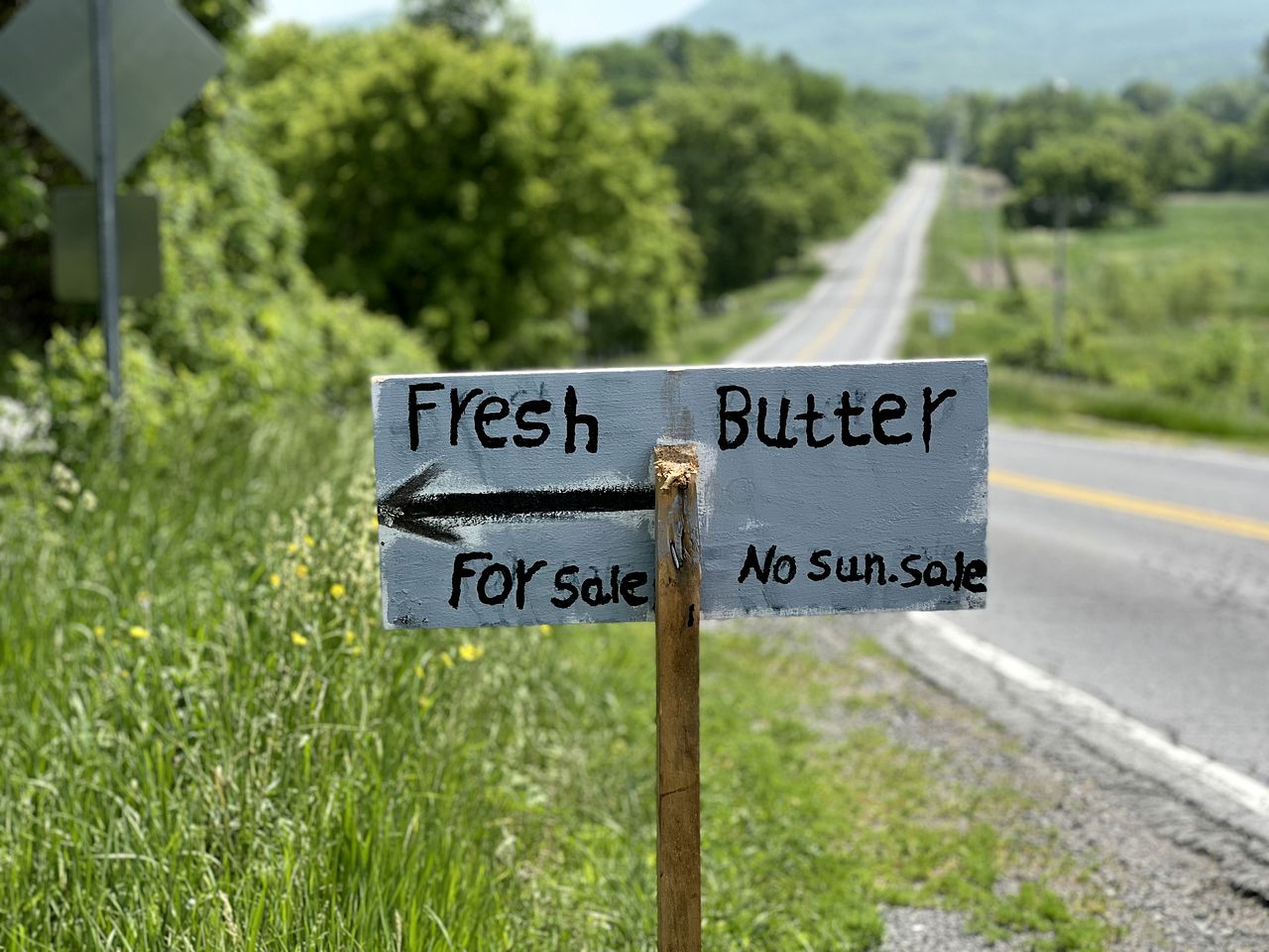 Picturesque, Mountain Suite nestled in Pastoral Setting in Wells, Vermont