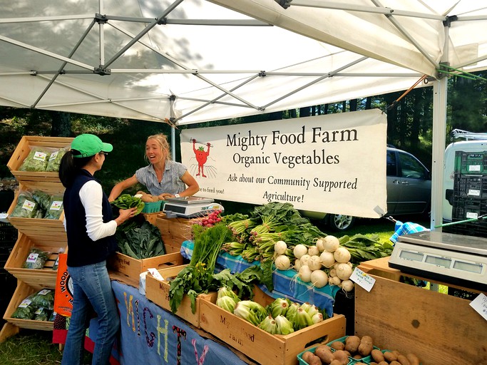 Designer Rentals (United States of America, Wells, Vermont)