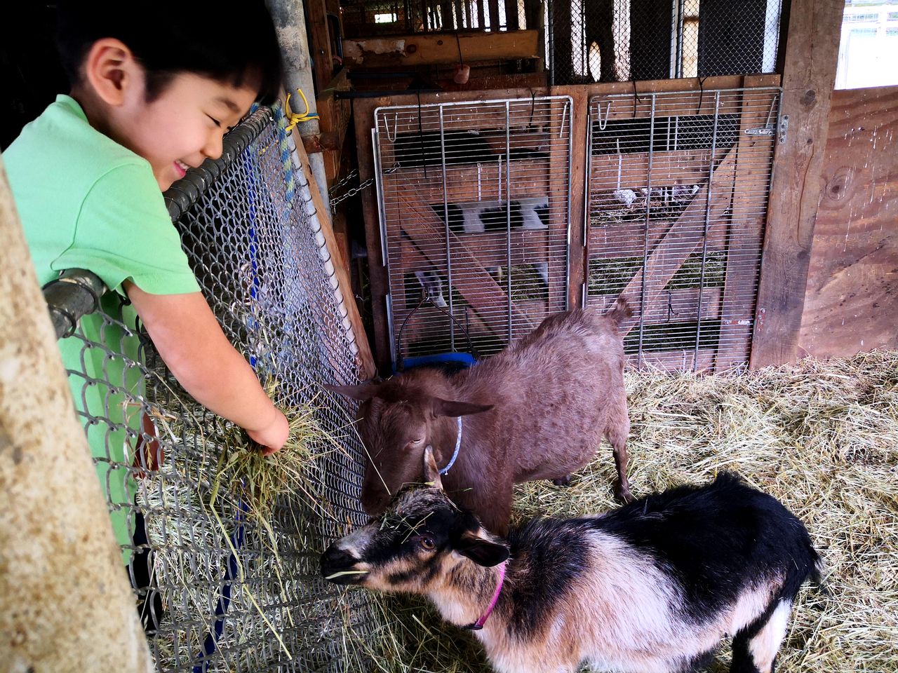 Picturesque, Mountain Suite nestled in Pastoral Setting in Wells, Vermont