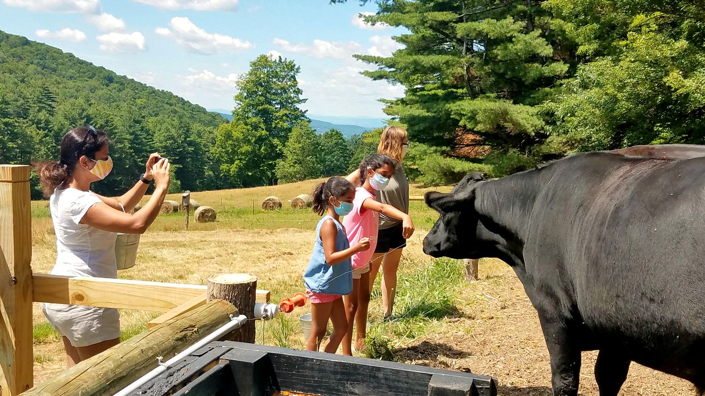 Picturesque, Mountain Suite nestled in Pastoral Setting in Wells, Vermont