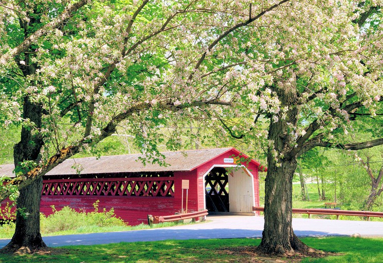 Cabins (United States of America, Wells, Vermont)