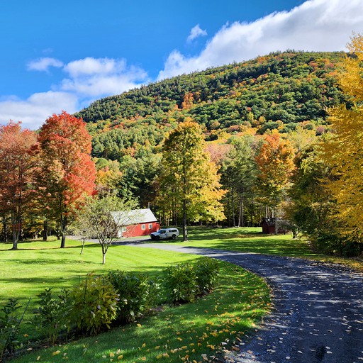 Cabins (United States of America, Wells, Vermont)