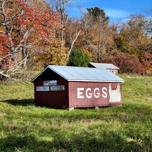 Cabins (United States of America, Wells, Vermont)