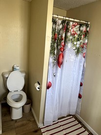 undefined photo 4