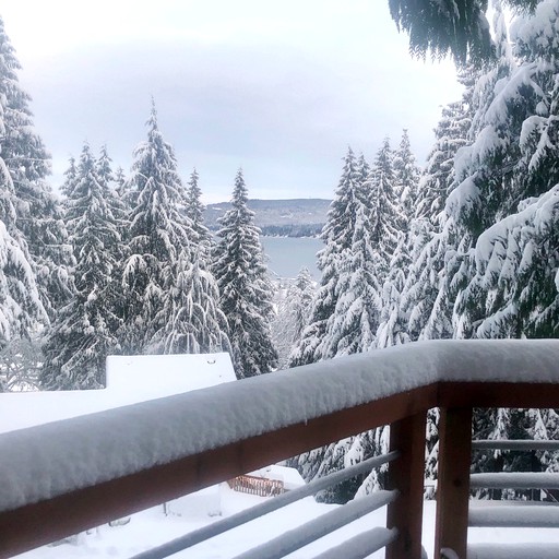 Cabins (Bellingham, Washington, United States)