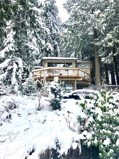 Cabins (Bellingham, Washington, United States)