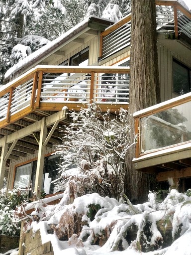 Cabins (Bellingham, Washington, United States)