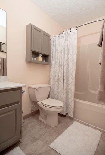 Cabins (Maggie Valley, North Carolina, United States of America)