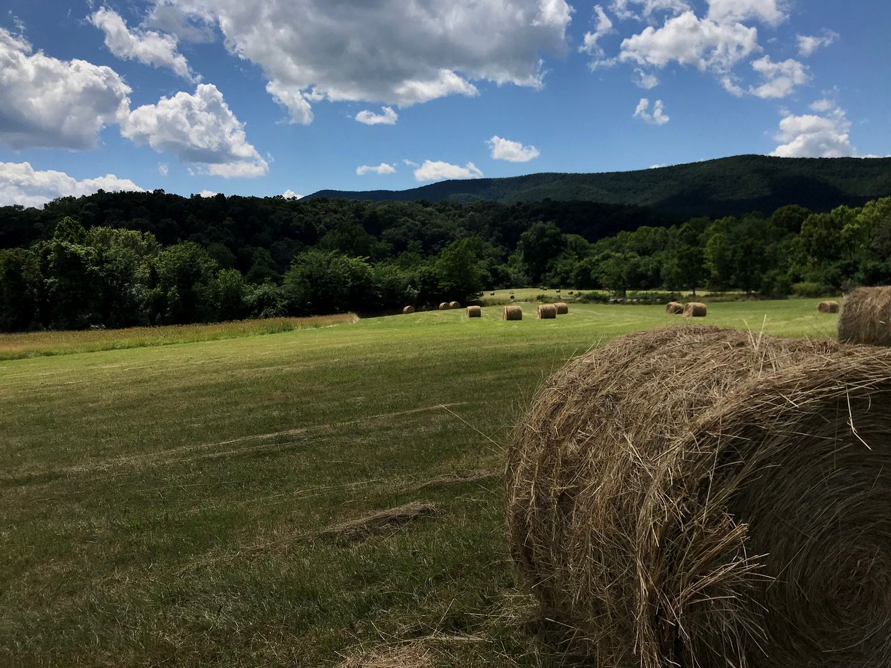 Riverfront Getaway with Mountain Views near the Shenandoah River in Virginia