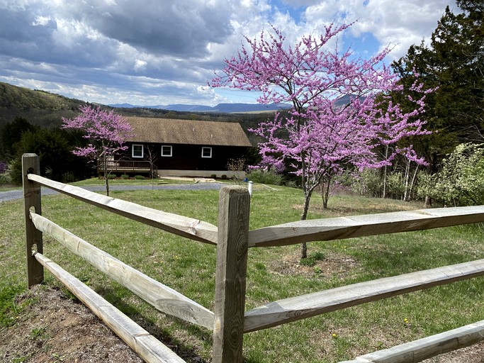 Cabins (Rileyville, Virginia, United States of America)