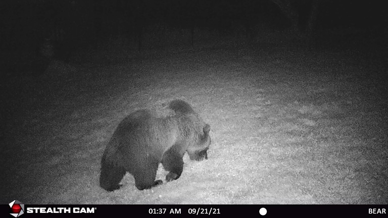 Cabins (United States of America, Gardiner, Montana)