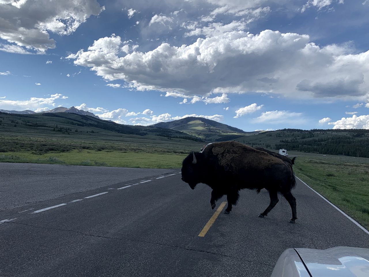 Creekside Cabin Rental Minutes from Yellowstone National Park in Gardiner, Montana