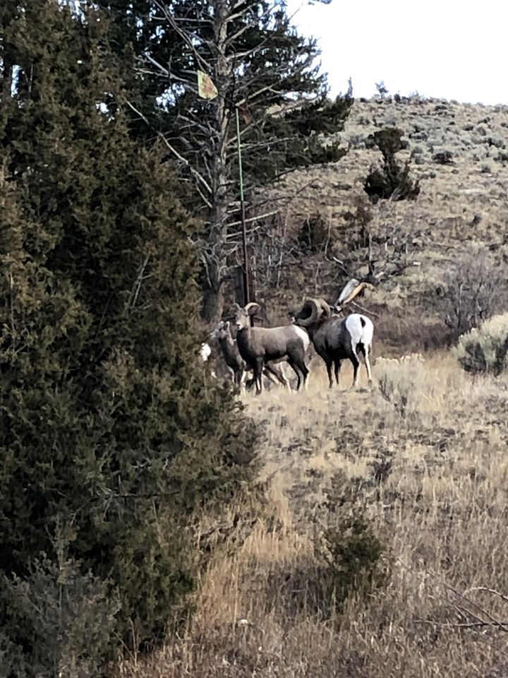 Creekside Cabin Rental Minutes from Yellowstone National Park in Gardiner, Montana