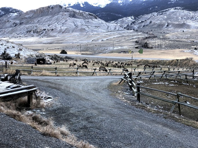 Cabins (United States of America, Gardiner, Montana)