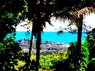 Oceanfront Getaway with Private Beach Access in Pahoa, Hawaii photo 3