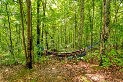 Stunning Cabin Rental in Ohio with Outdoor Hot Tub photo 2