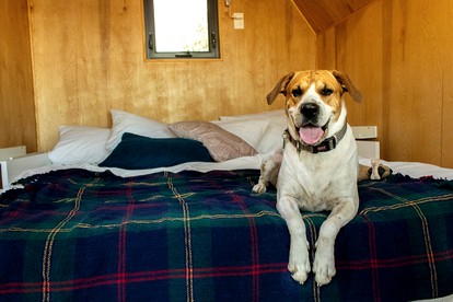 numberOfBeds photo 4