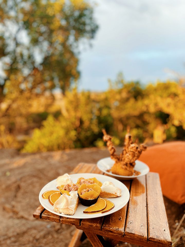 Traditional Luxury Tents on Large Game Reserve in Kenya