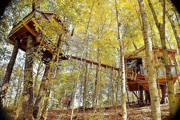 Tree Houses (United States of America, Germantown, Kentucky)