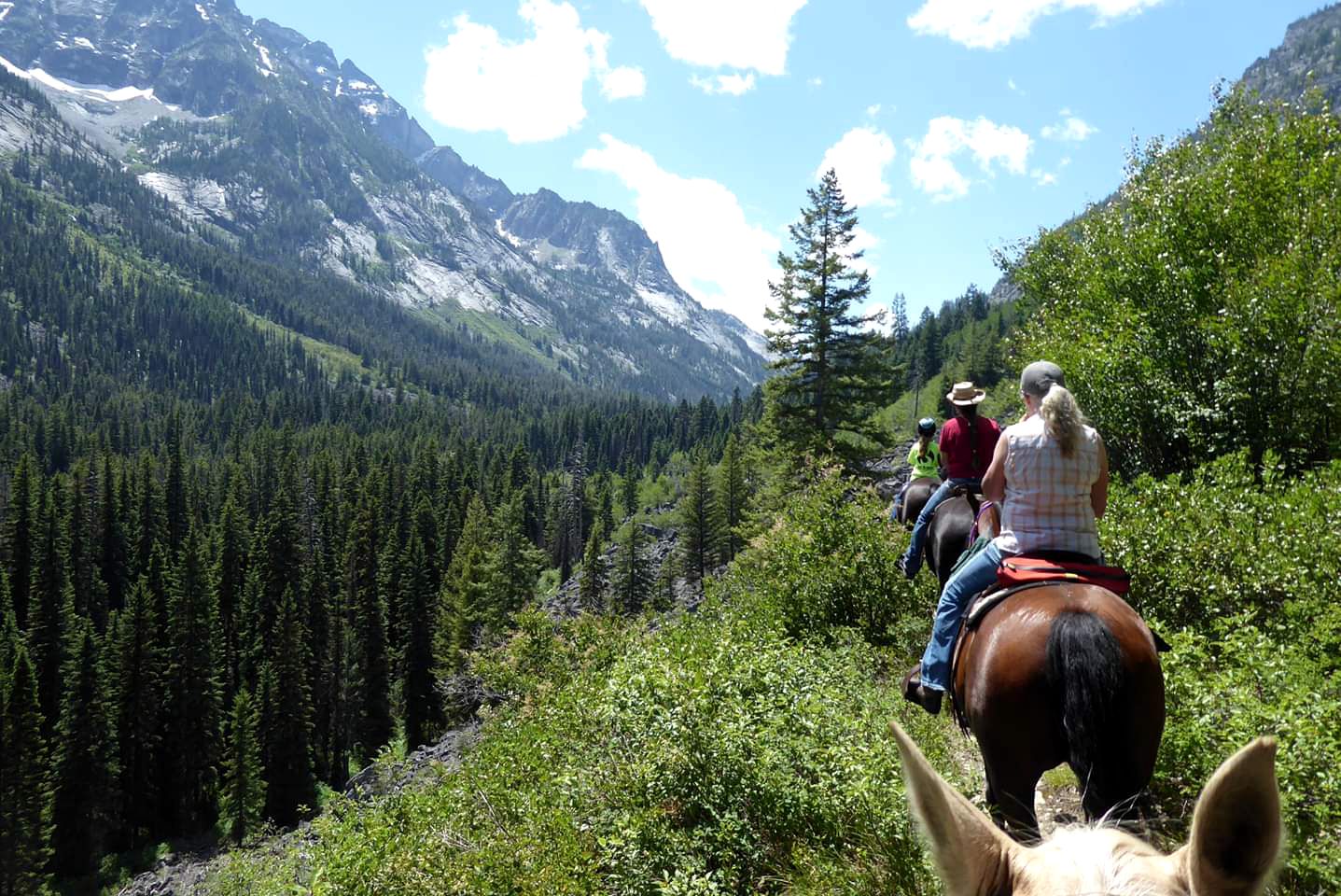 Elegant Mountain Cabin Rental in Bitterroot National Forest, Montana