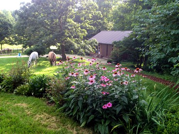 undefined photo 5
