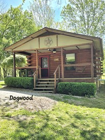 undefined photo 4
