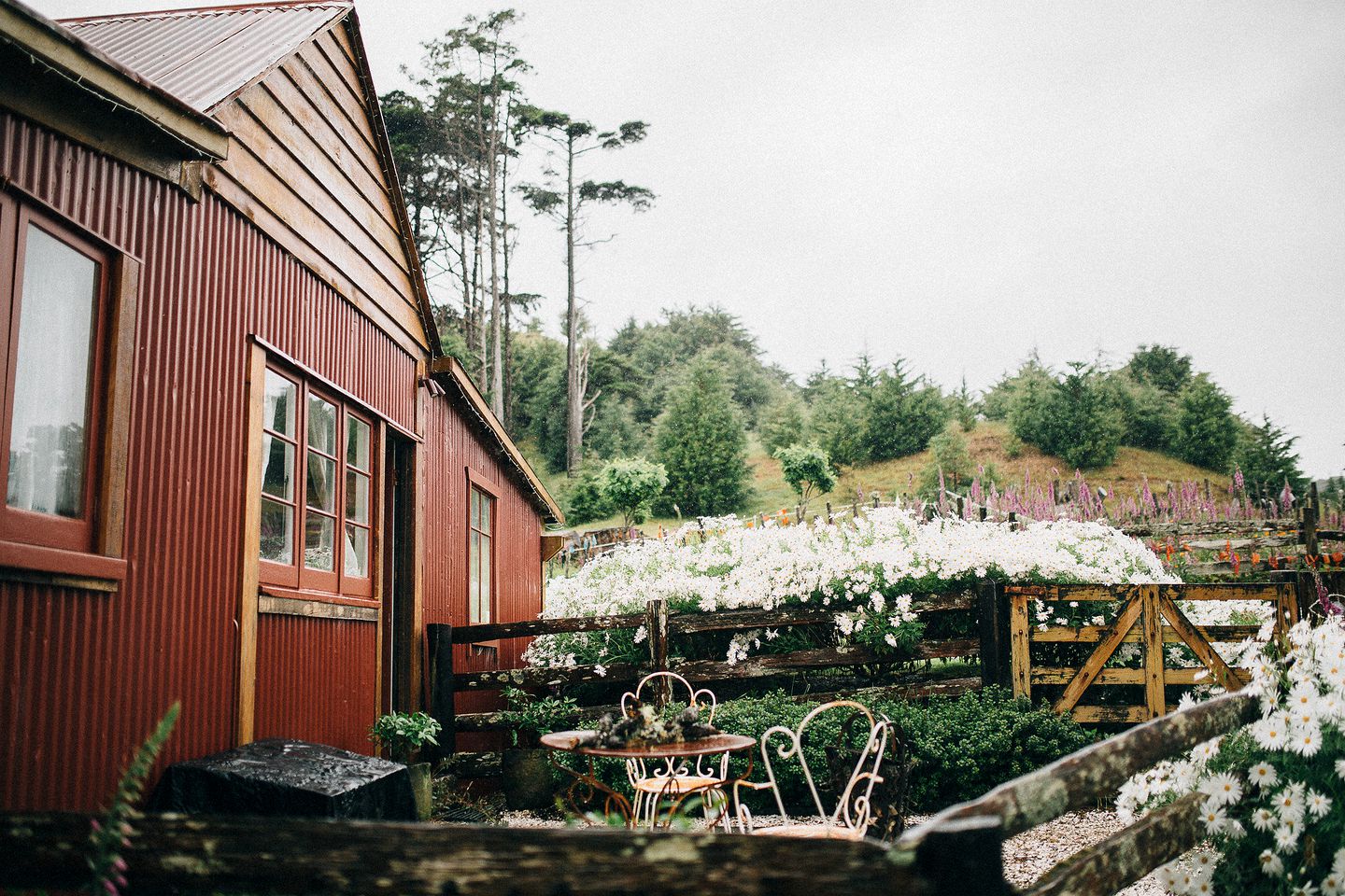 Barns (New Zealand, Puhoi, North Island)