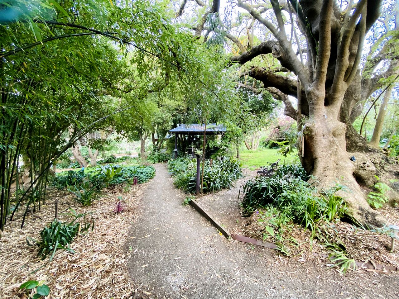 Pet-Friendly Vacation Retreat near Melbourne, Australia