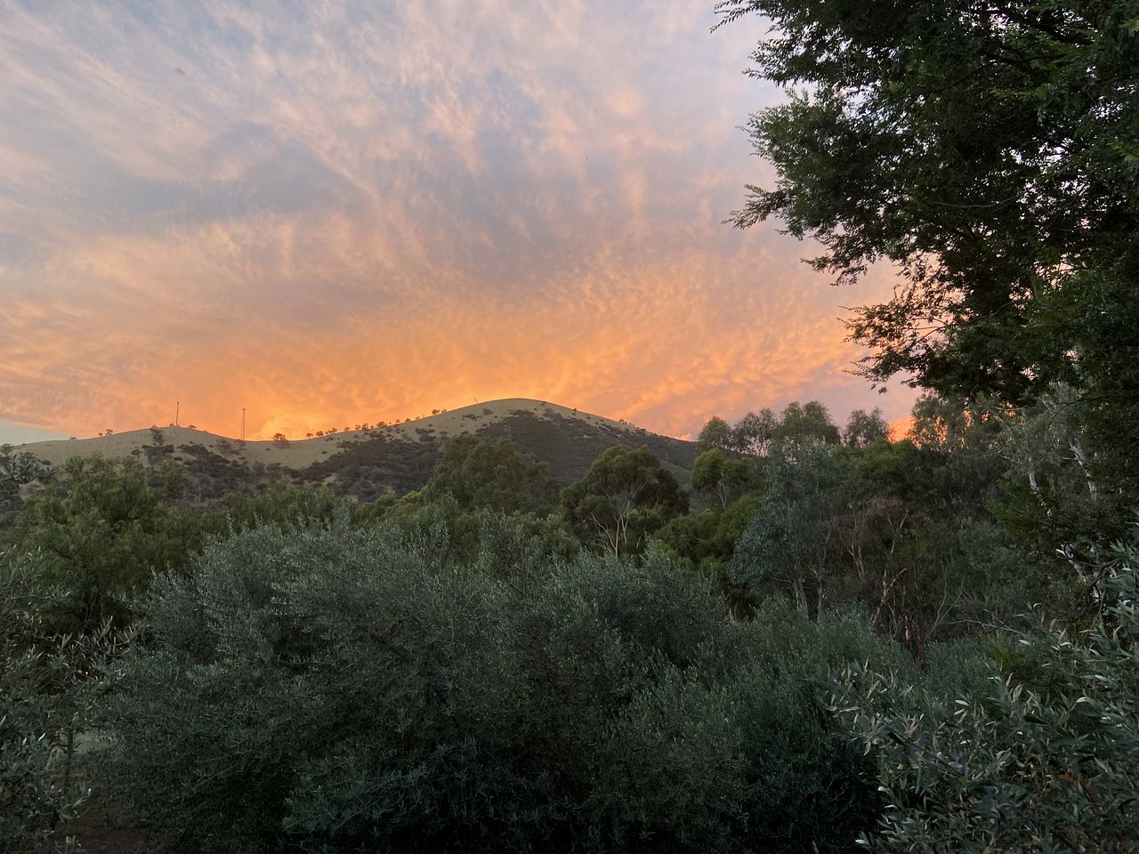 Pet-Friendly Vacation Retreat near Melbourne, Australia