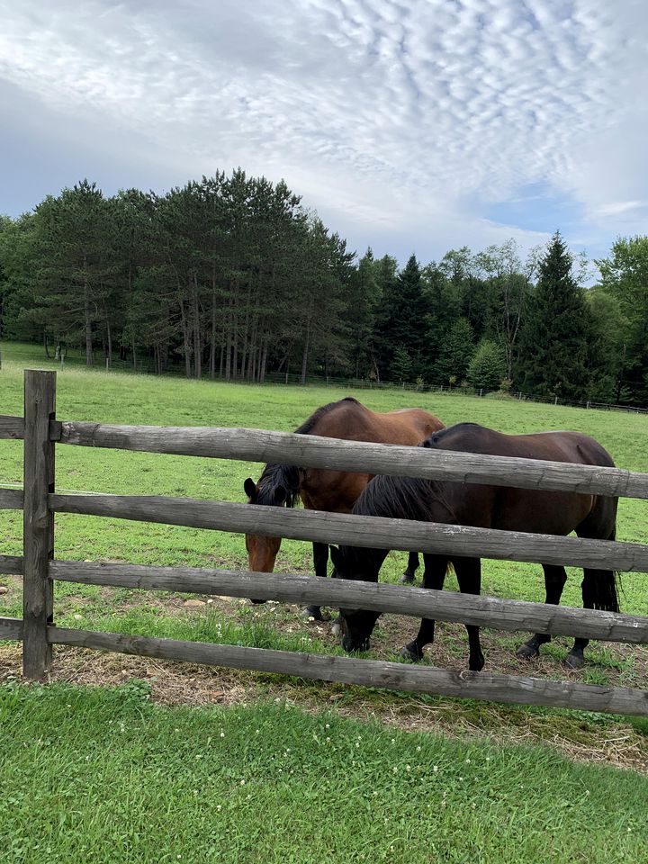 Deluxe Barn on a Horse Farm in Allegheny National Forest