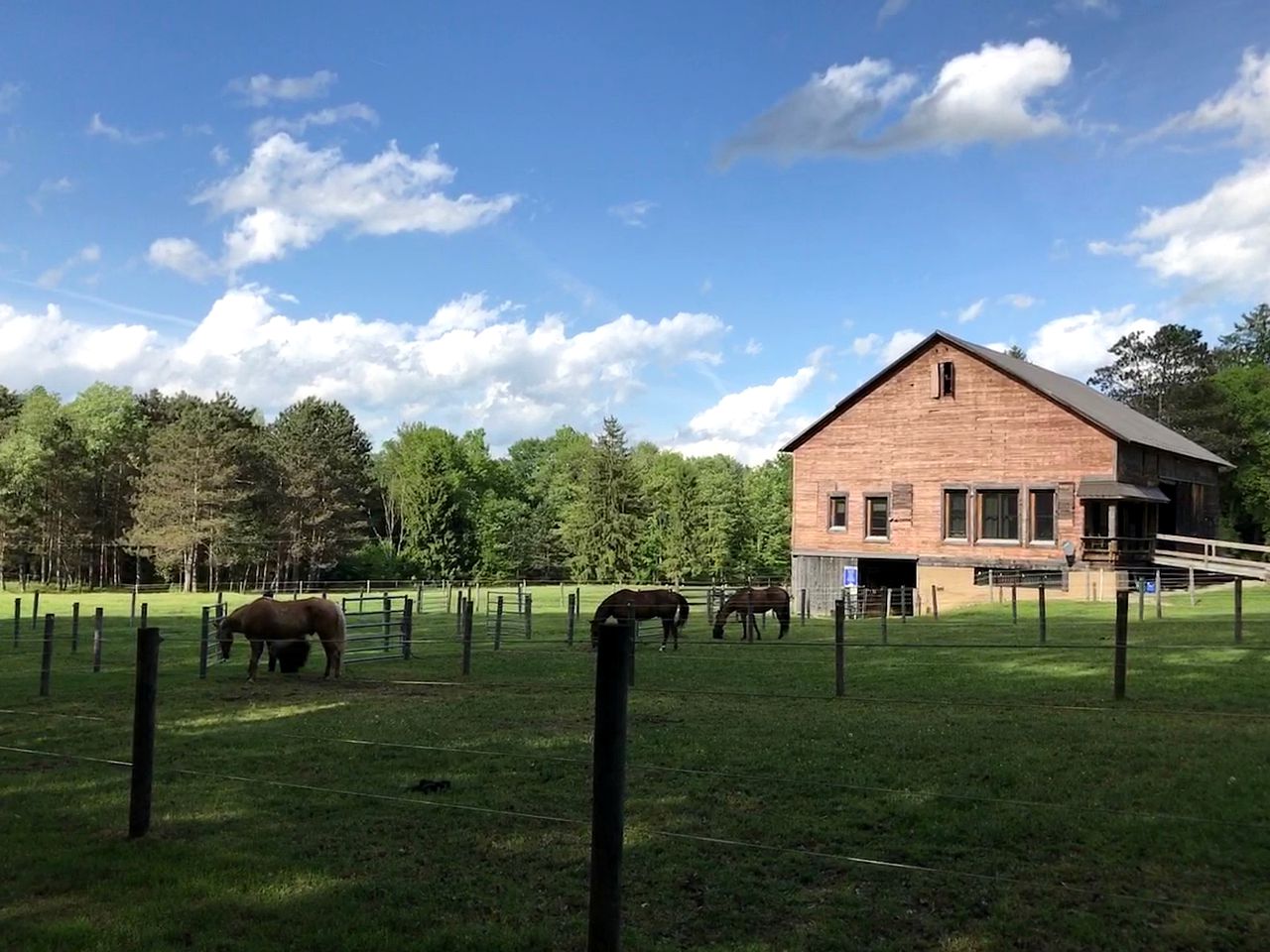 Deluxe Barn on a Horse Farm in Allegheny National Forest