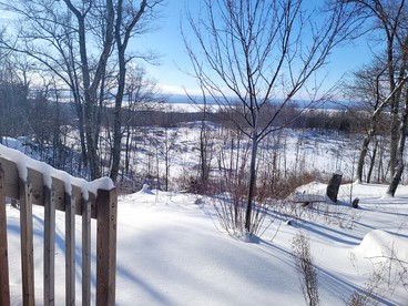Secluded Cabin Rental Surrounded by Forested Hiking Trails in Golden Lake, Ontario photo 2