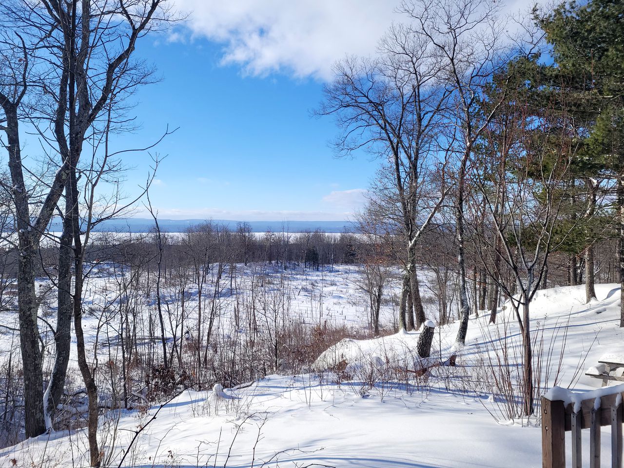 Secluded Cabin Rental Surrounded by Forested Hiking Trails in Golden Lake, Ontario