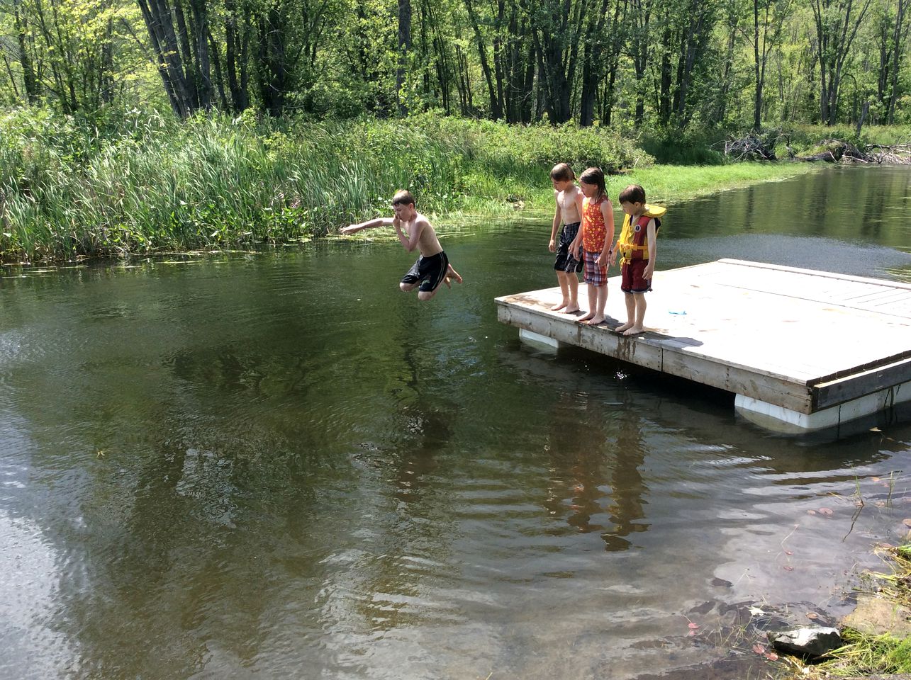 Lakefront Cabin Rental Surrounded by Nature near Renfrew, Ontario