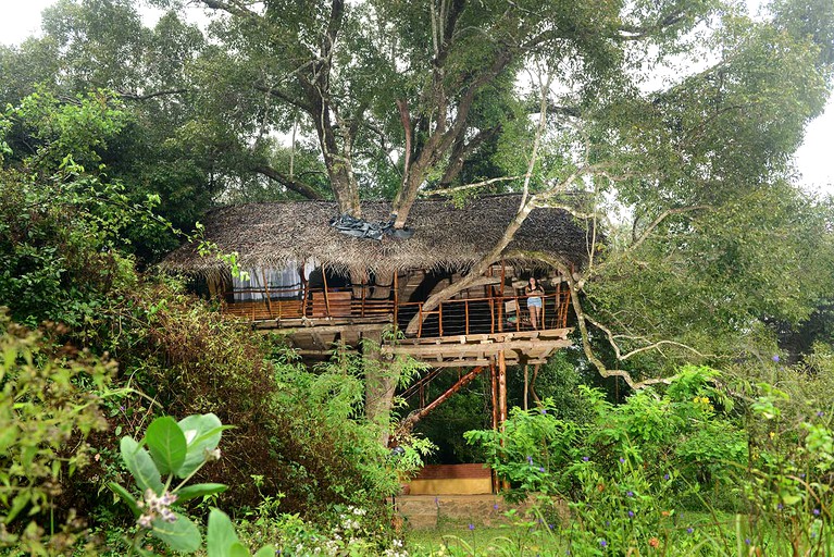 Tree Houses (Sri Lanka, Sigiriya, Central Province)