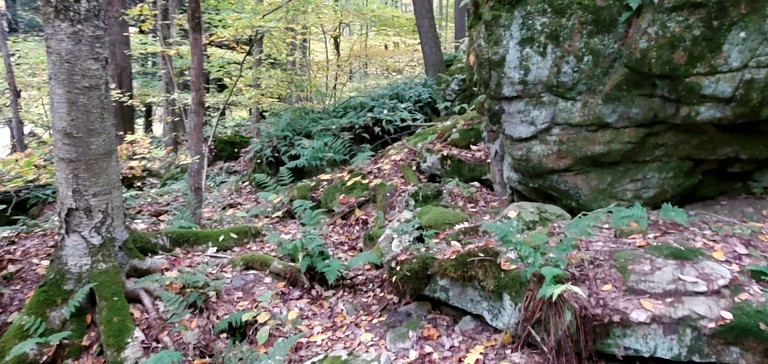 Cabins (Somerset, Pennsylvania, United States of America)