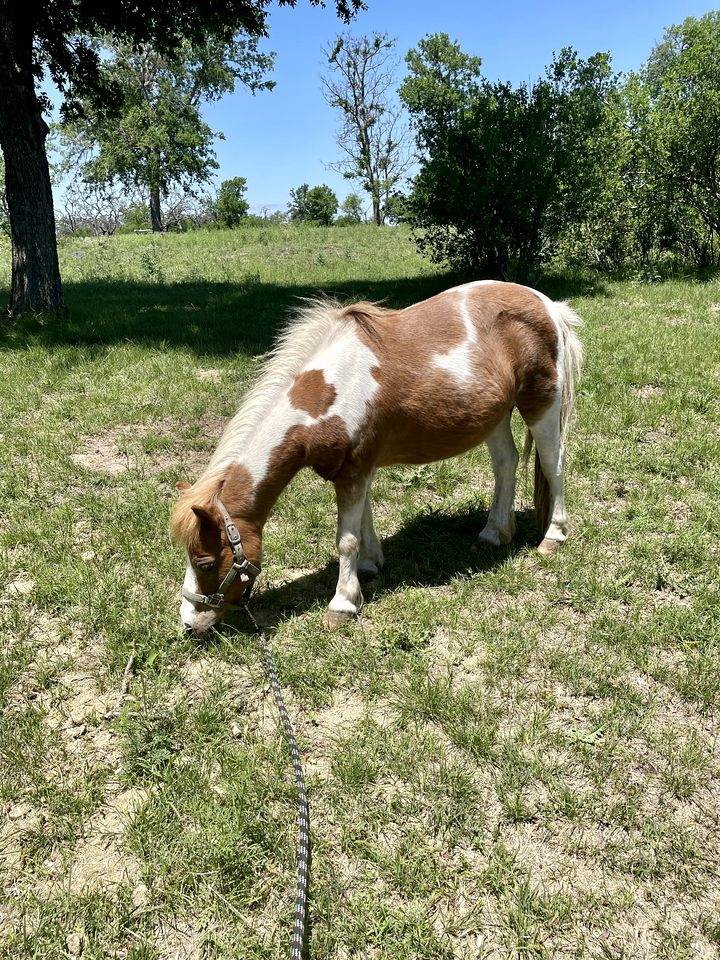 Spacious Accommodation for Two with Direct Creek Access for Fishing in Fredericksburg, Texas
