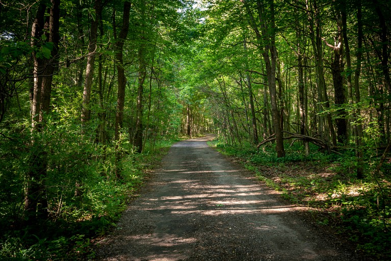 Nature Lodges (Holland, Michigan, United States of America)
