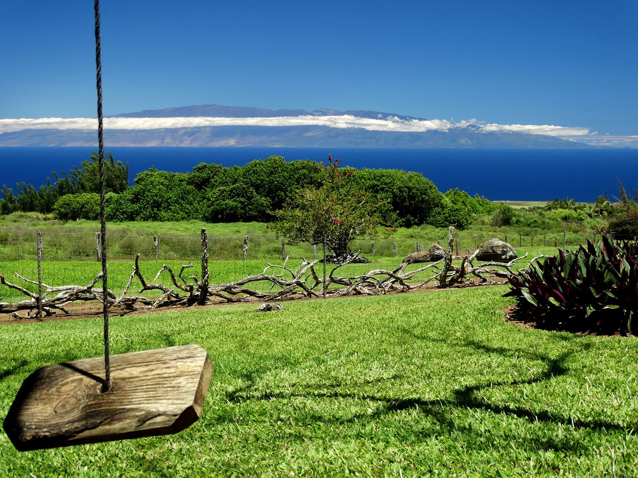Tropical Nature Lodge with Incredible Views near Kohala Forest Reserve in Hawaii