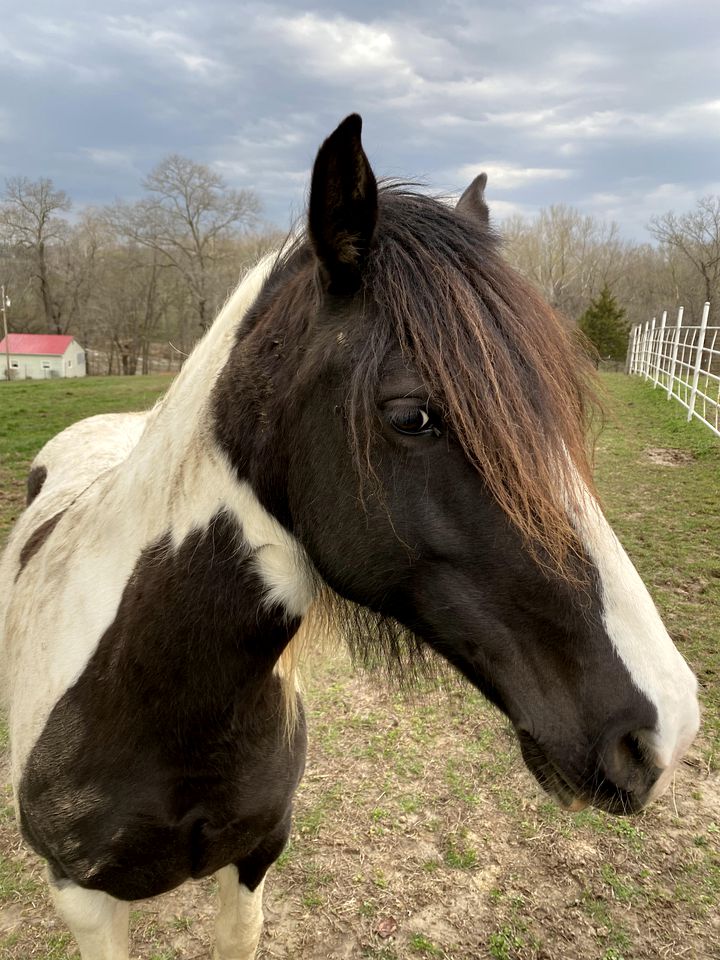 Riverside Cabin Rental near St. Louis, Missouri